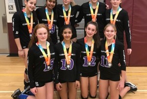 Defensa 14U Purpe Silver in 15U